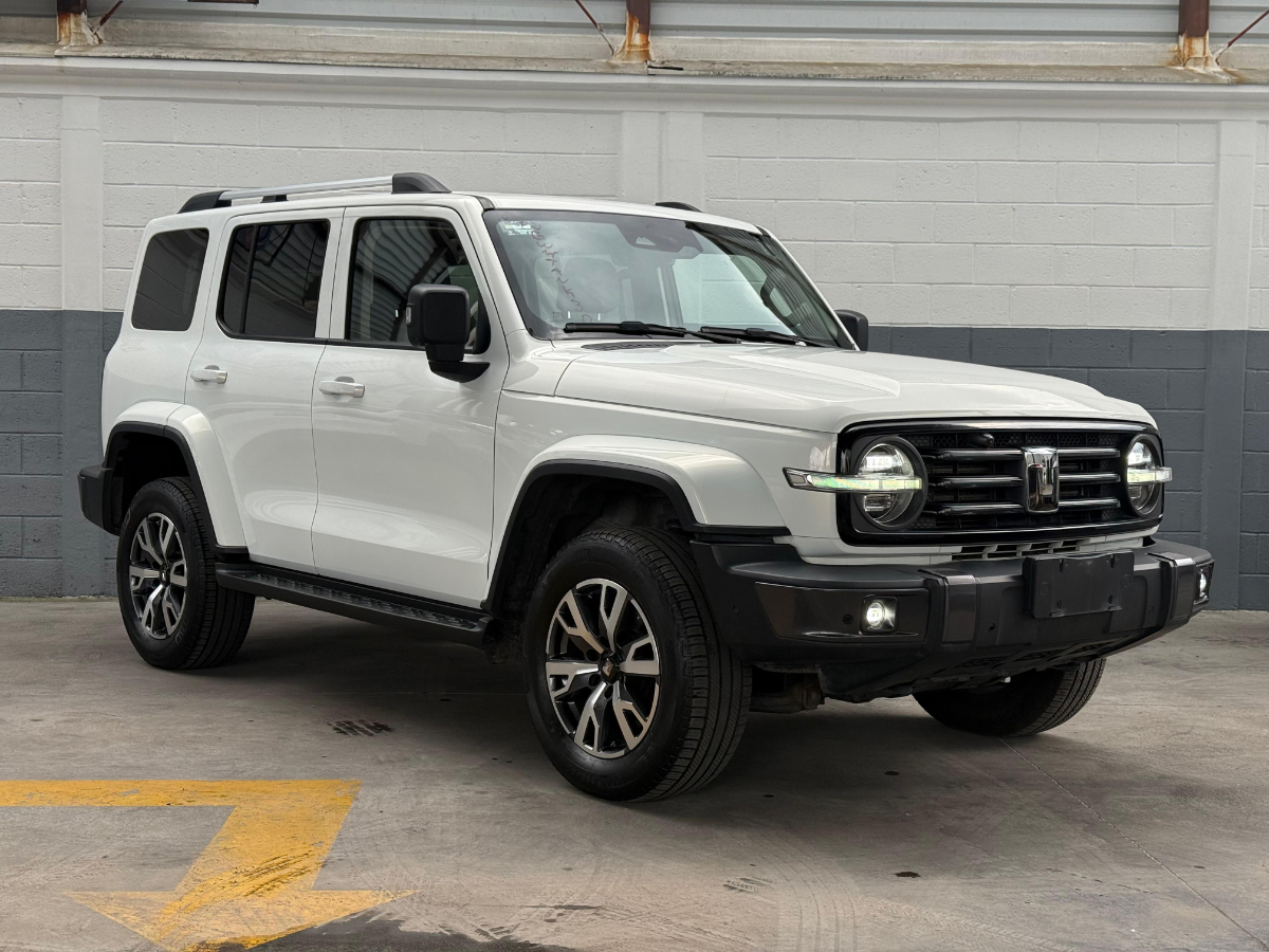 GWM Tank 300 2025